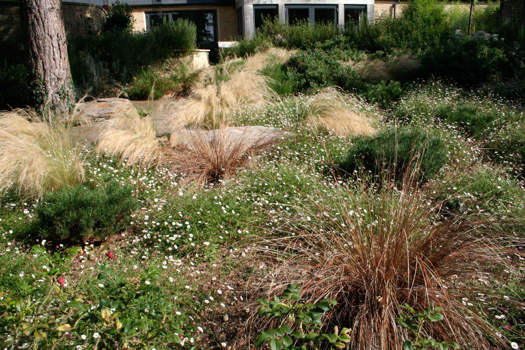 Cambridgeshire Garden by Peter Eustance Symphonic Gardens