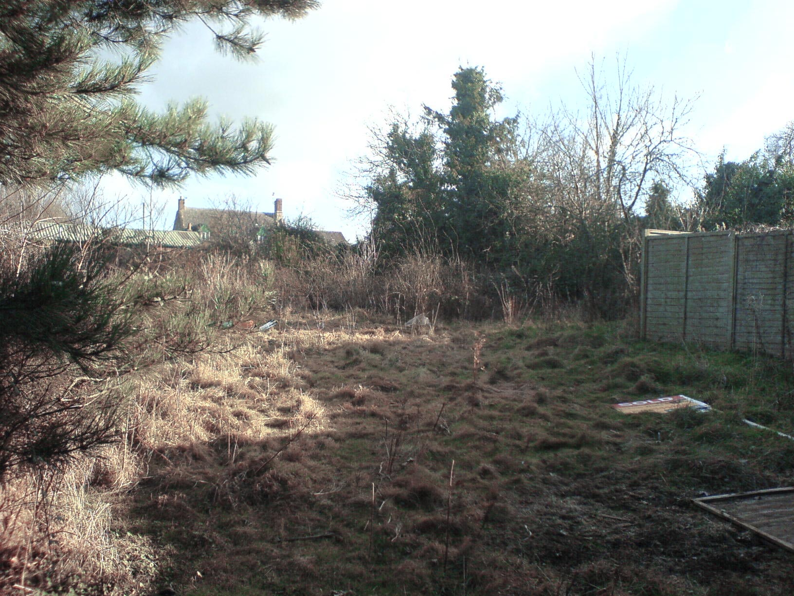 Cambridgeshire Garden by Peter Eustance Symphonic Gardens