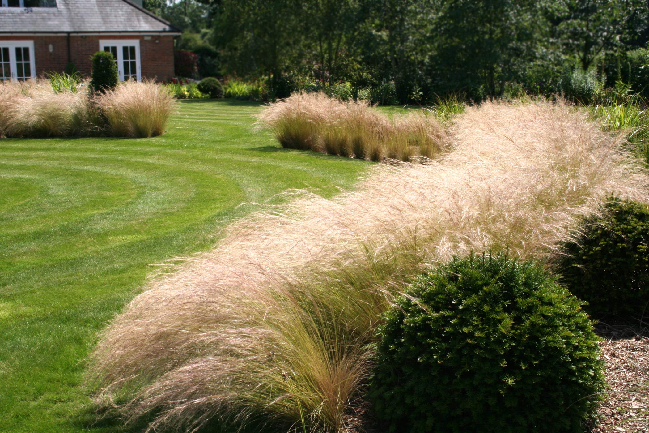 Garden of spiral grass borders designed by Peter Eustance  View towards house