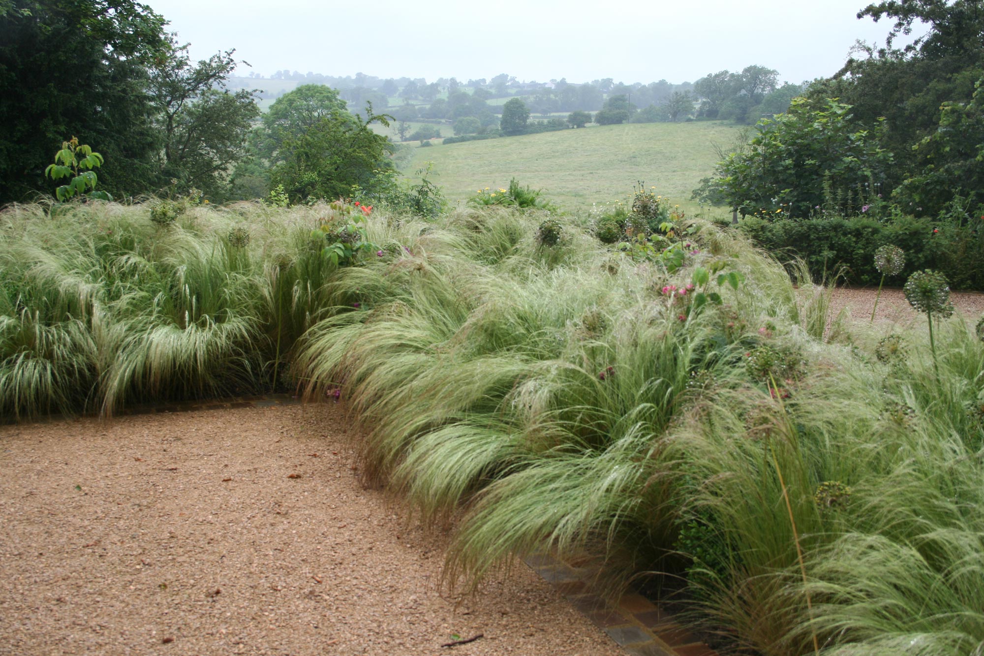 Seasonal variations with delicate textural grasses leading to meadows