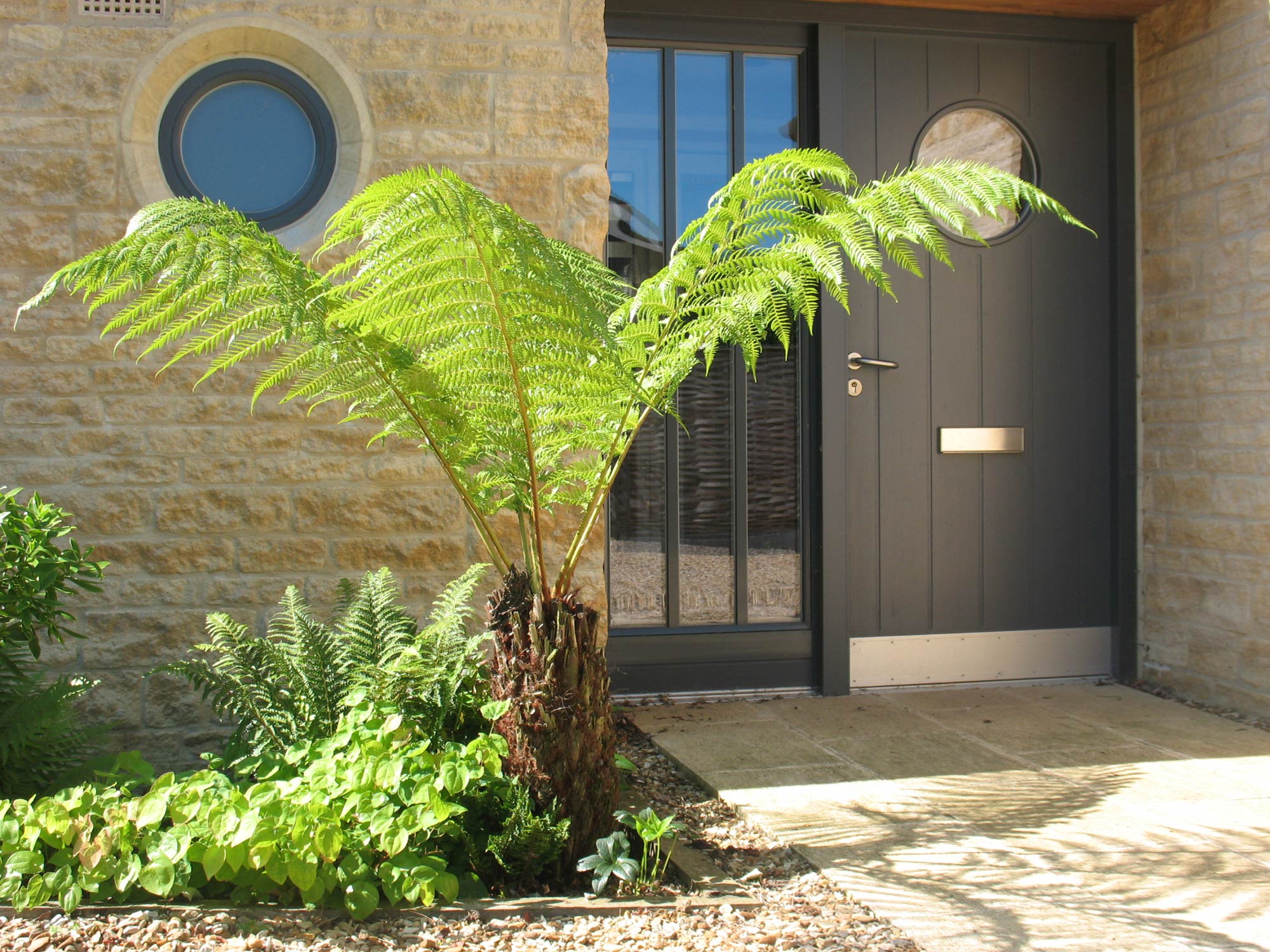 Elton Cambridgeshire garden designed by Peter Eustance Tree fern at front door