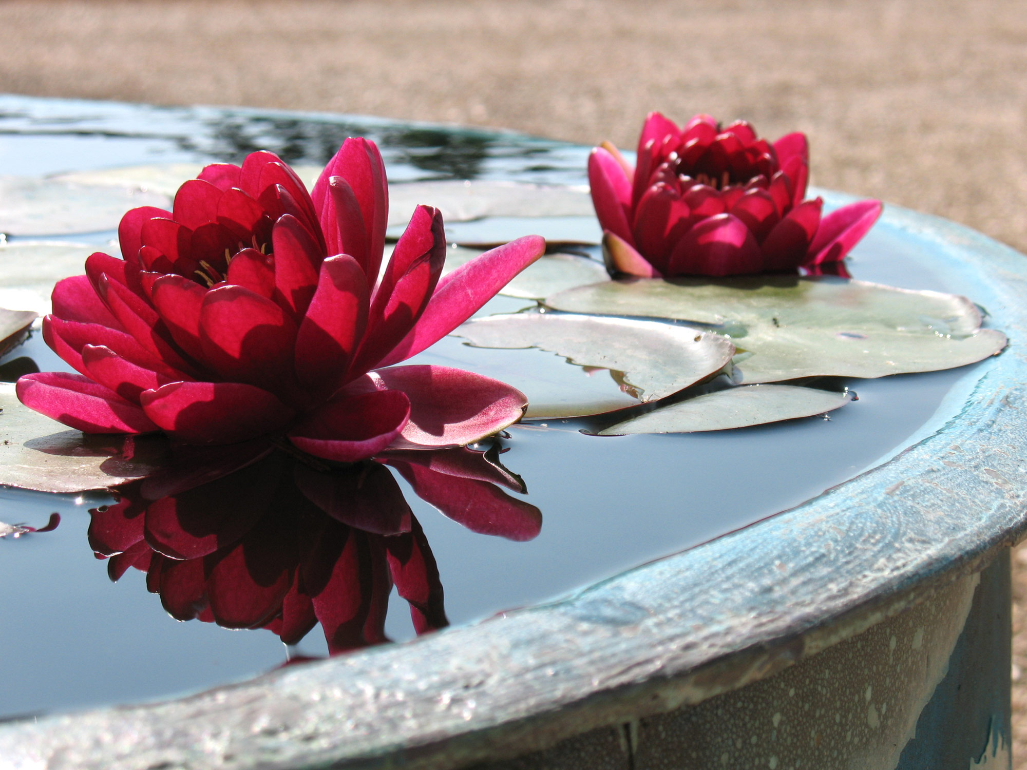 Bath water feature - Peter Esutance Symphonic Gardens