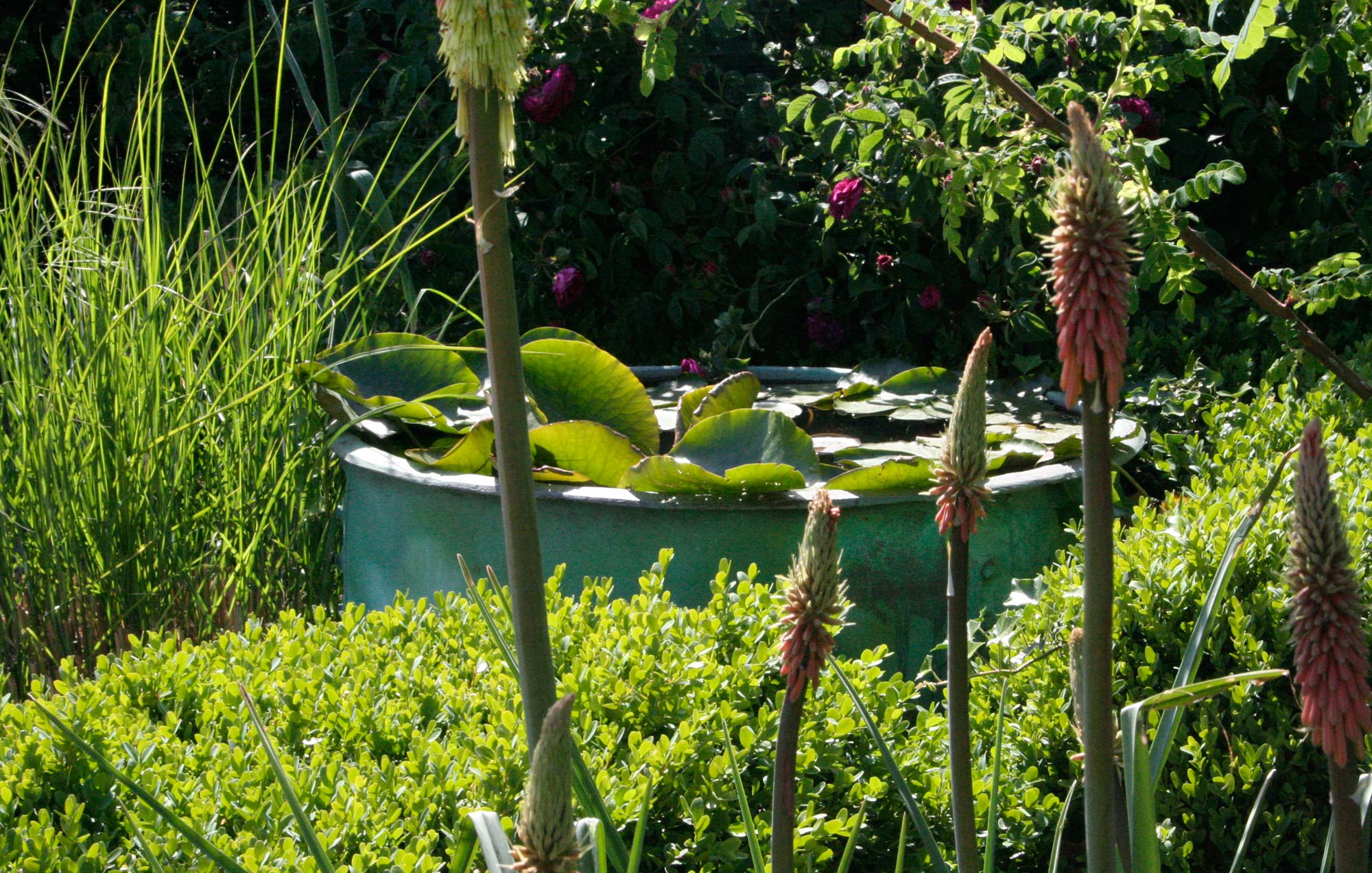 Bath water feature - Peter Eustance Symphonic Gardens