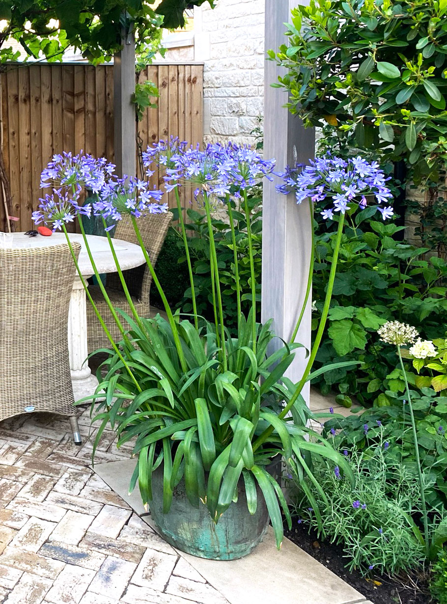 Eau water feature and planter  - Peter Eustance Symphonic Gardens