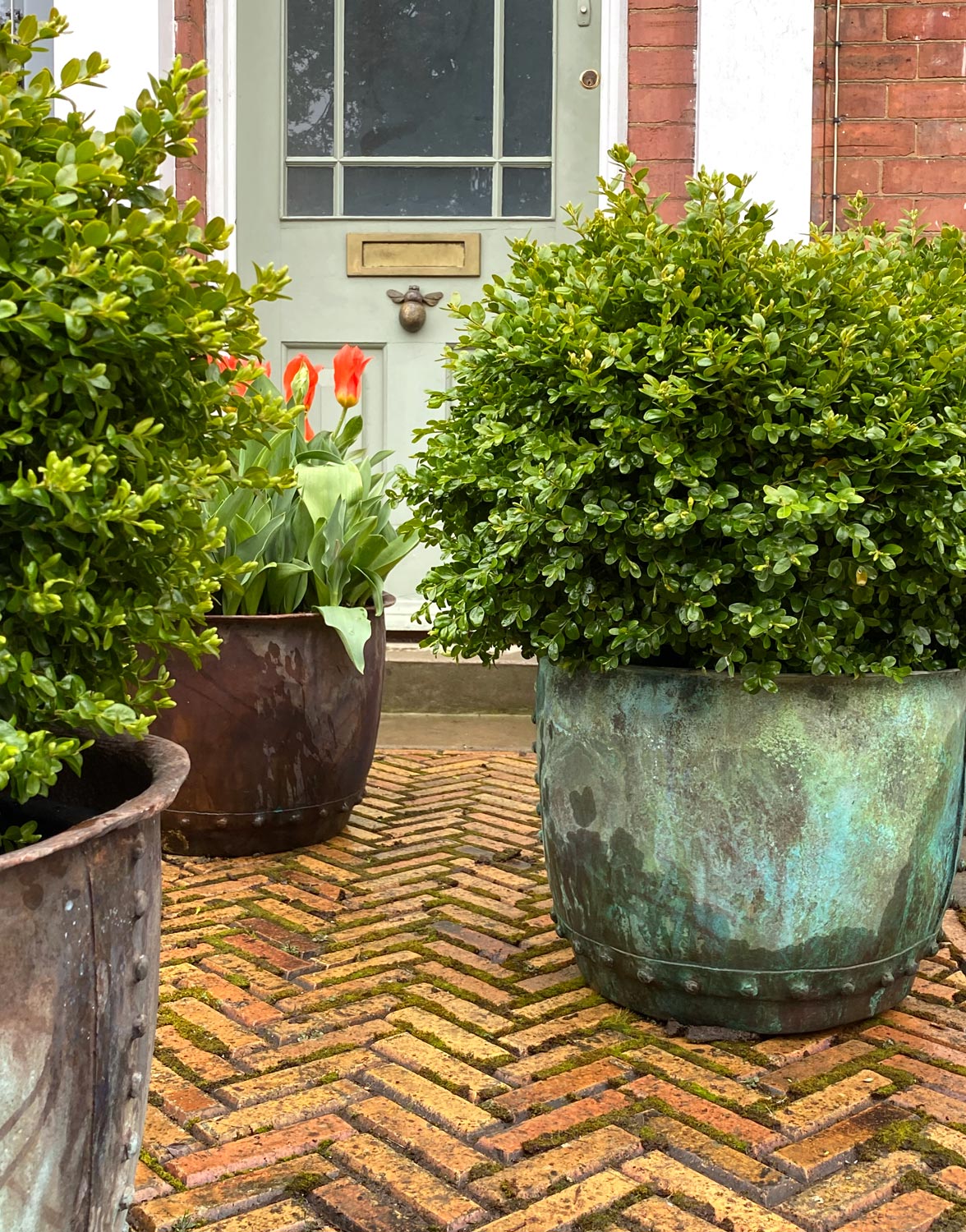 Eau water feature and planter - Peter Eustance Symphonic Gardens