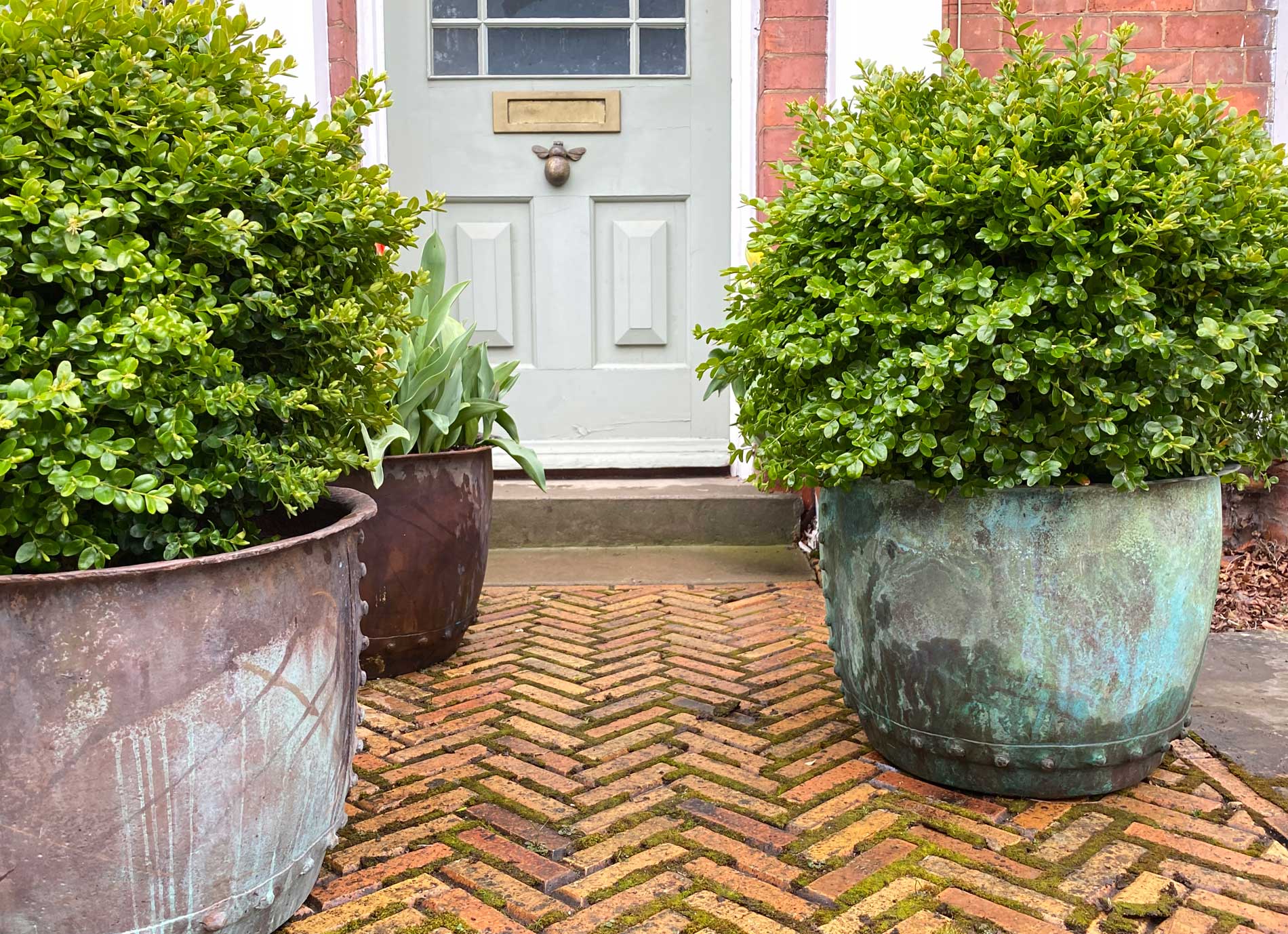 Eau water feature and planter  - Peter Eustance Symphonic Gardens