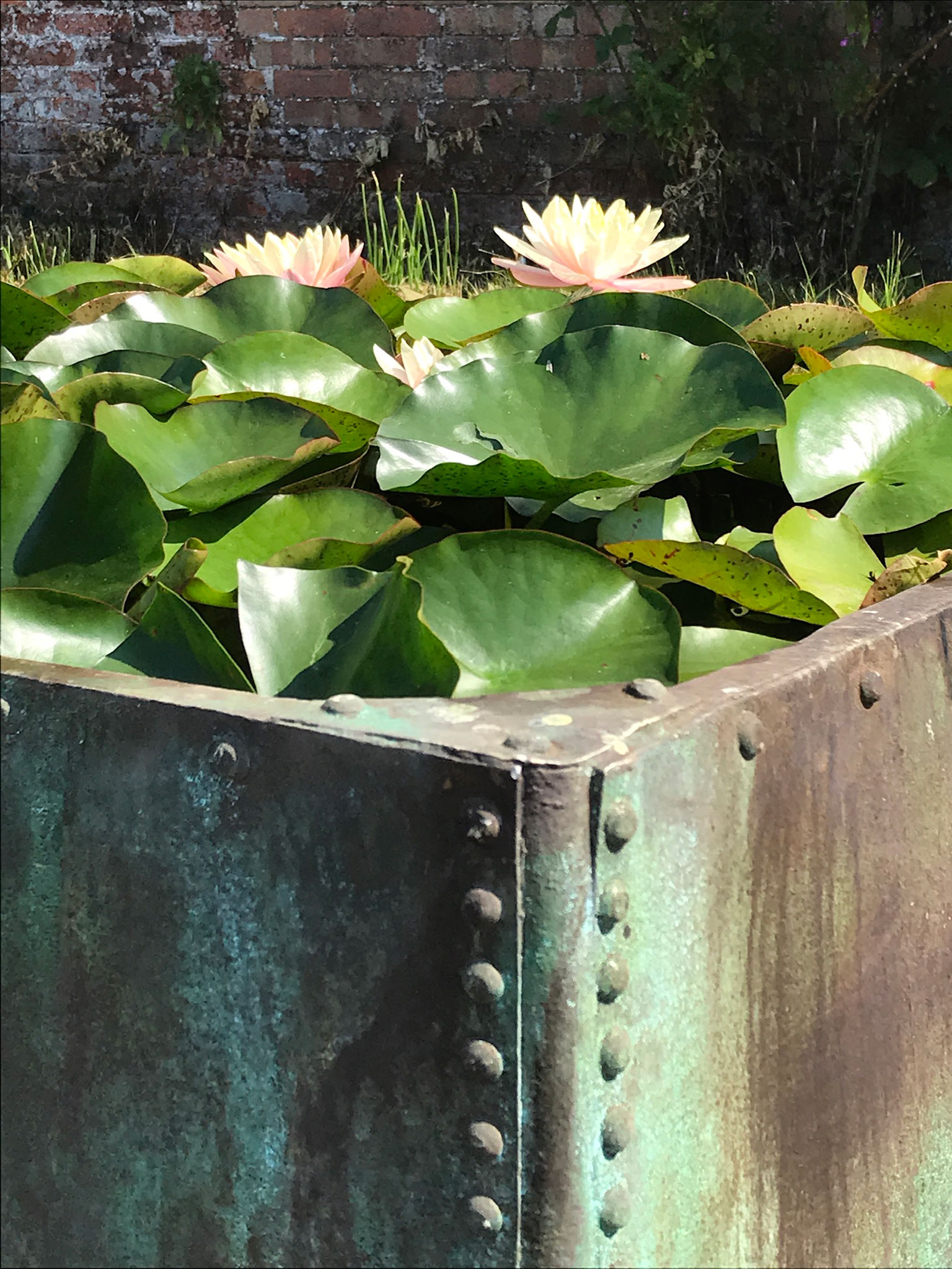 Monkton water feature - Peter Eustance Symphonic Gardens