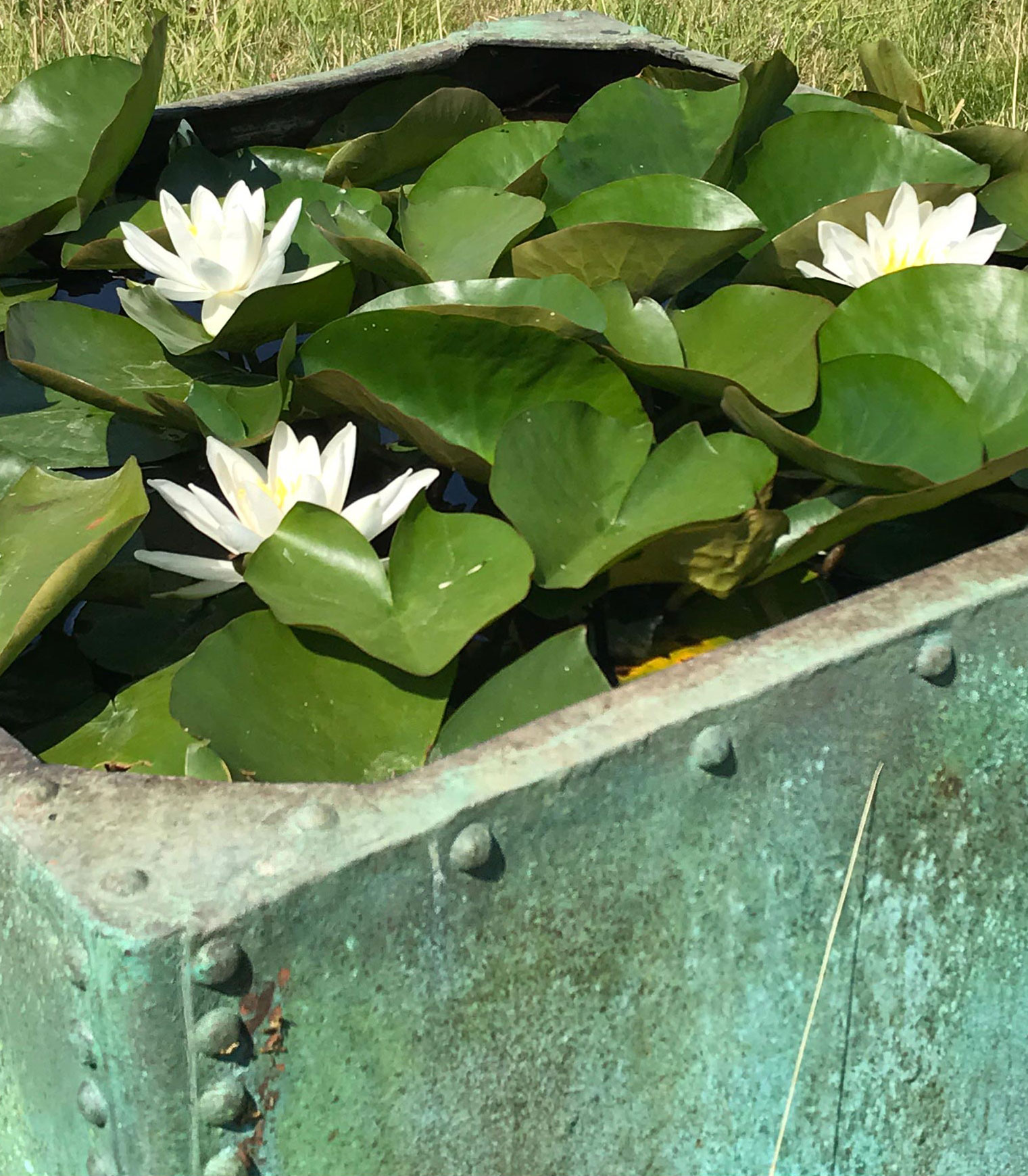 Monkton water feature - Peter Eustance Symphonic Gardens