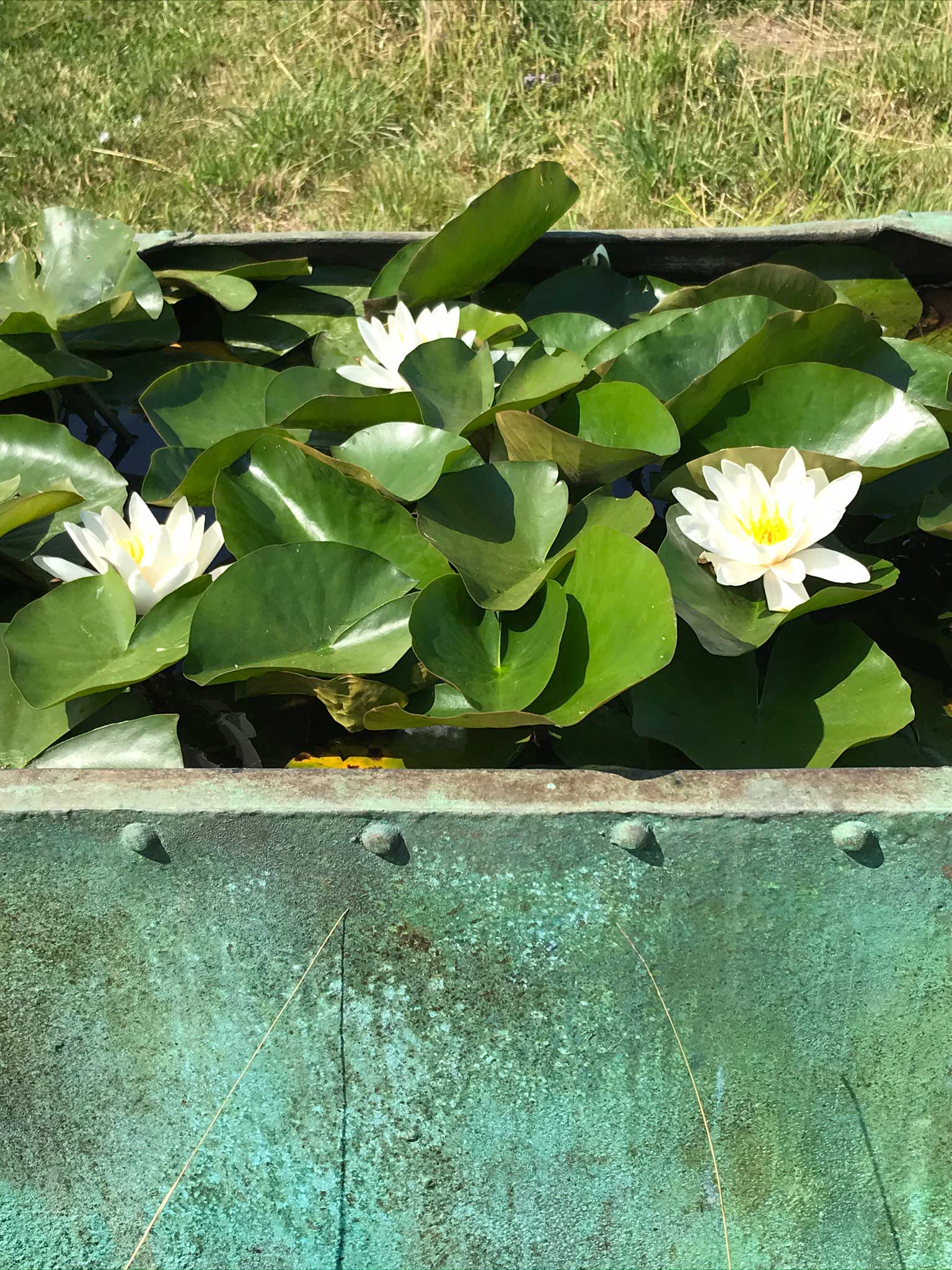 Monkton water feature - Peter Eustance Symphonic Gardens