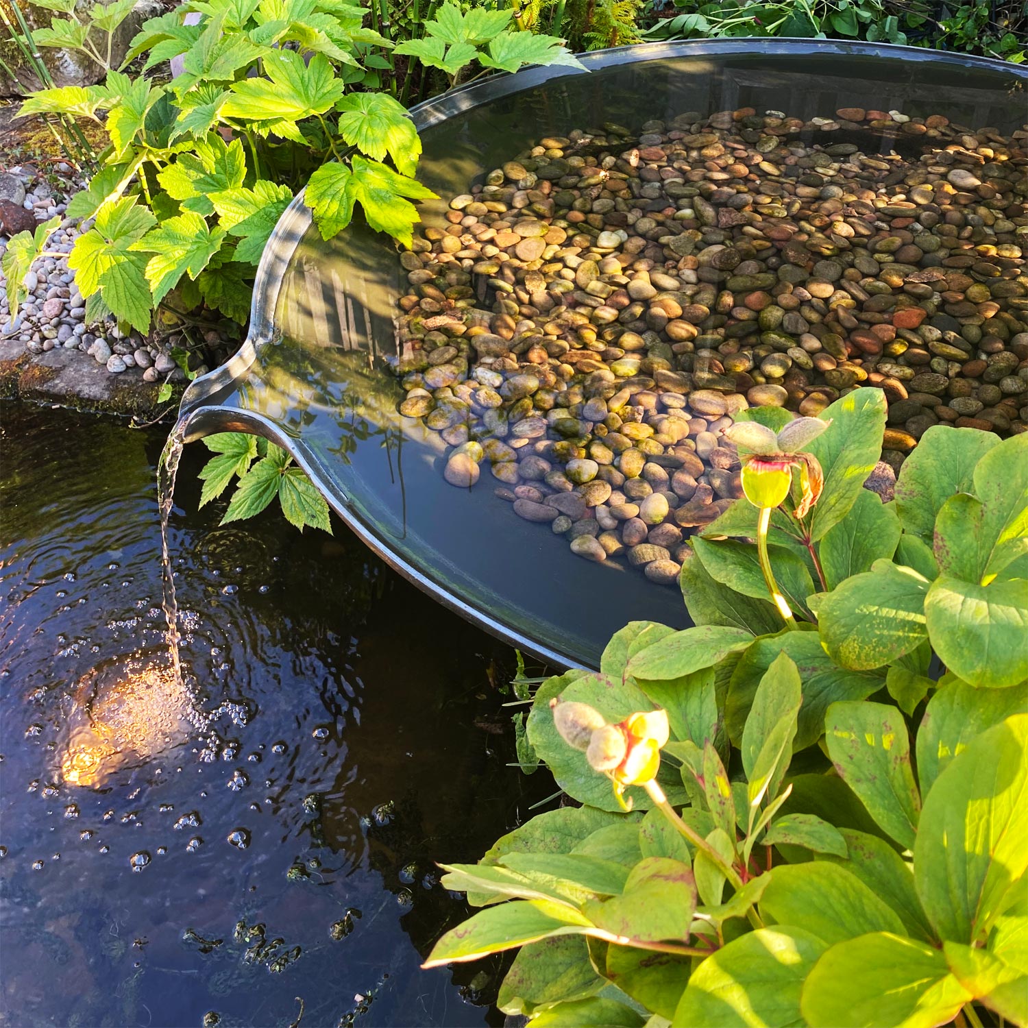 Magdalena Saucer water feature - Peter Eustance Symphonic Gardens