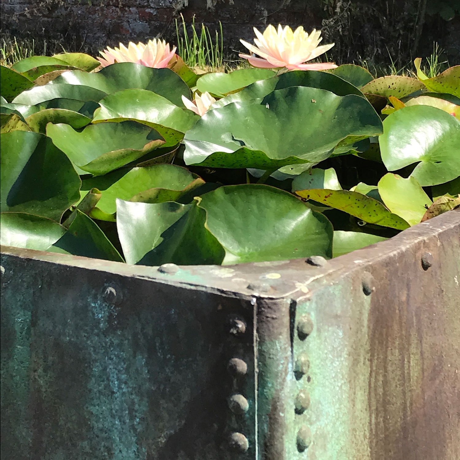 Monkton tank water feature - Peter Eustance Symphonic Gardens